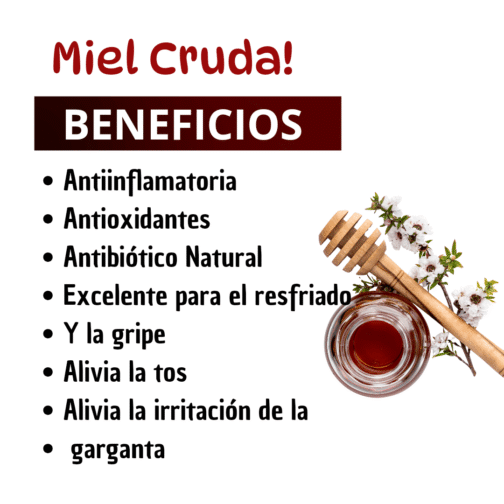 Miel Herbal Bilberry 13 oz - Imagen 3