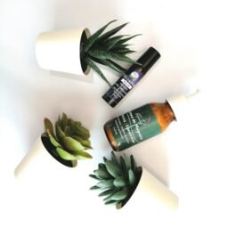 Kit Sueño Reparador